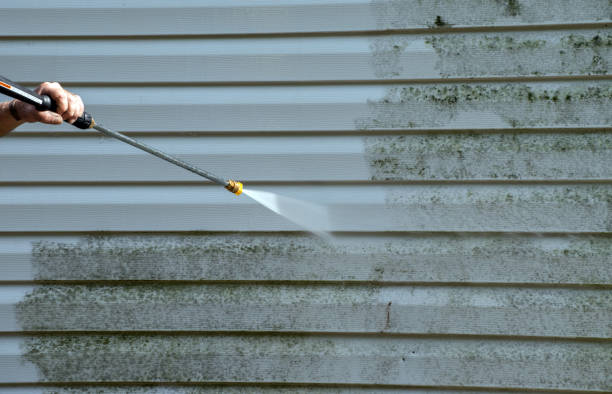 Best Local Mold Removal Service  in Wahpeton, ND