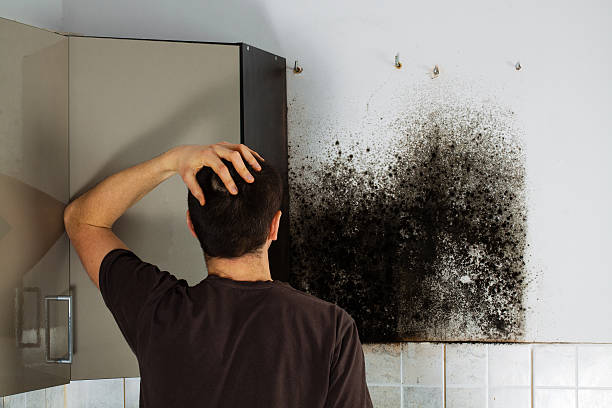 Certified Mold Removal in Wahpeton, ND